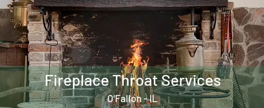  Fireplace Throat Services O'Fallon - IL